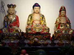 DSC00096 DSC00096