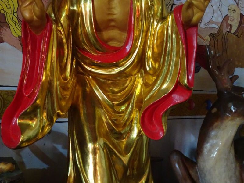 DSC00131 DSC00131