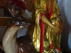 DSC00132 DSC00132