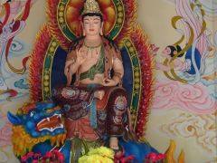 DSC00138 DSC00138