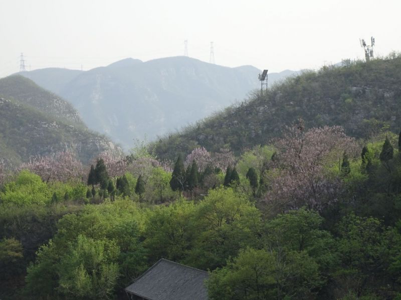 DSC00155 DSC00155
