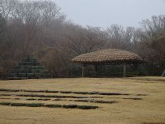 DSC03230 DSC03230