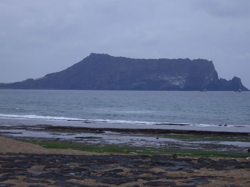 DSC03261 DSC03261