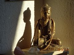 buddha  wittnau buddha  wittnau