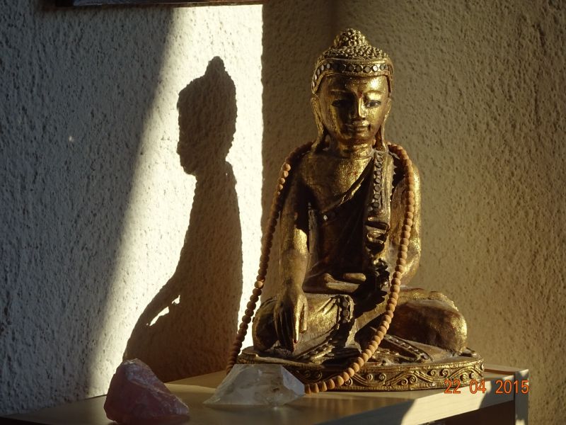 buddha  wittnau buddha  wittnau