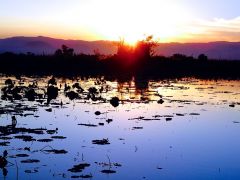 sonnenaufgang myanmar  bearb. sonnenaufgang myanmar  bearb.