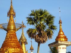 myanmar6 myanmar6