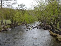 fluss baikal fluss baikal