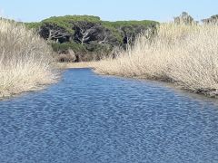 fluss cecina fluss cecina