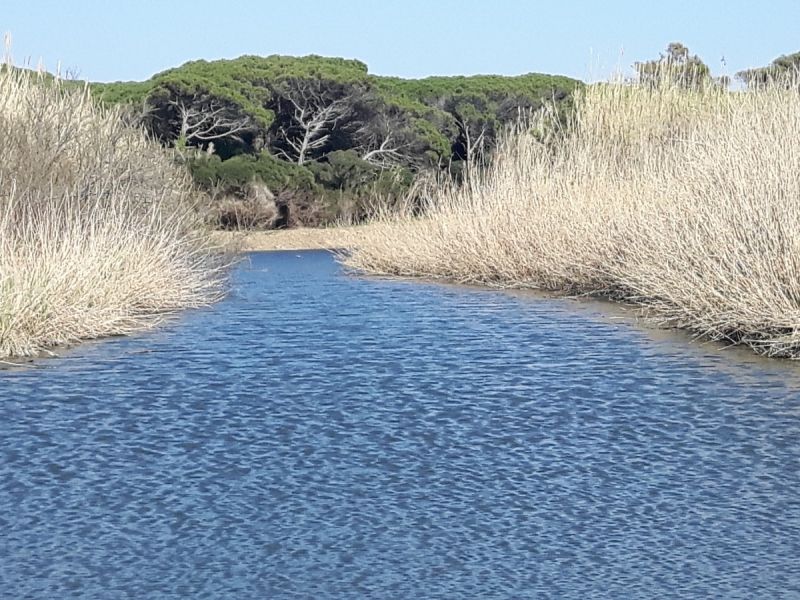 fluss cecina fluss cecina