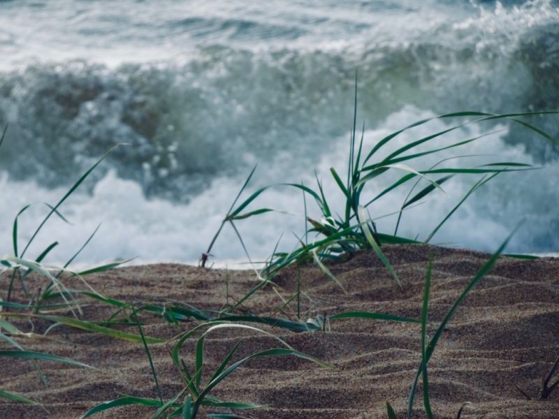 wildes wasser wildes wasser